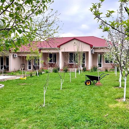 Cozy Family Cottages Vendam Exteriör bild